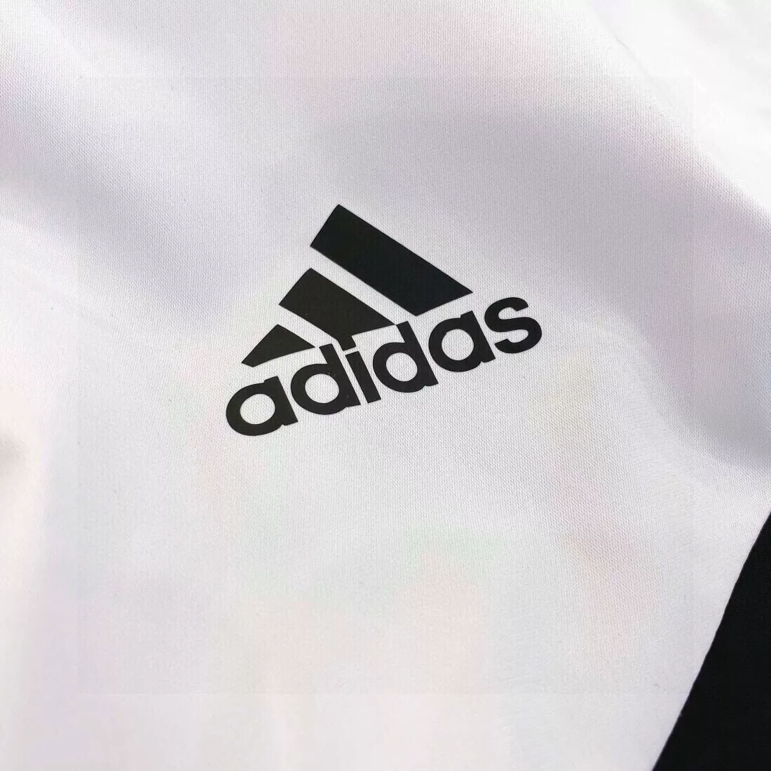 body_2aac0722ef45902f.webp