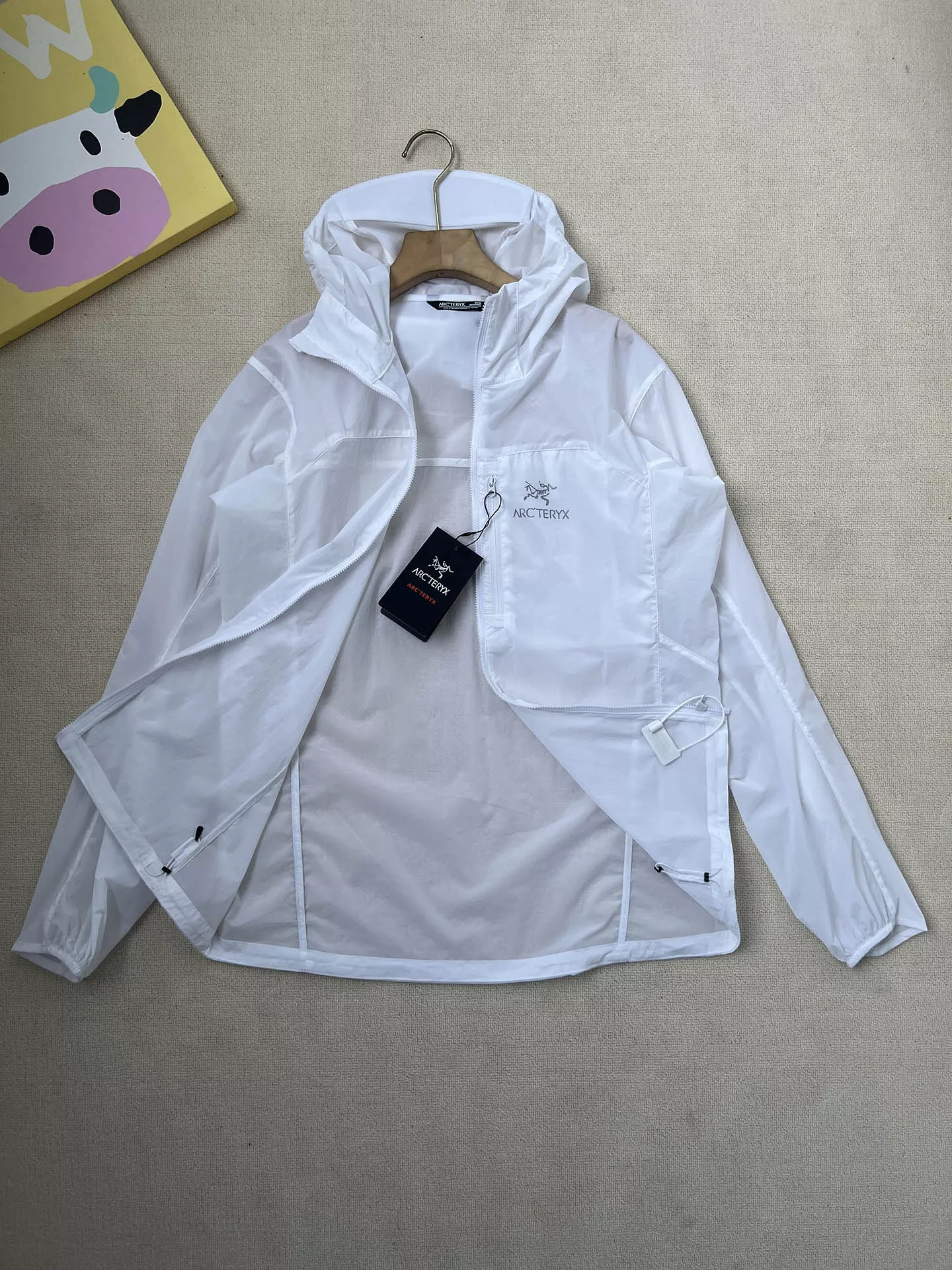 body_4474c03dd7abaef7.webp