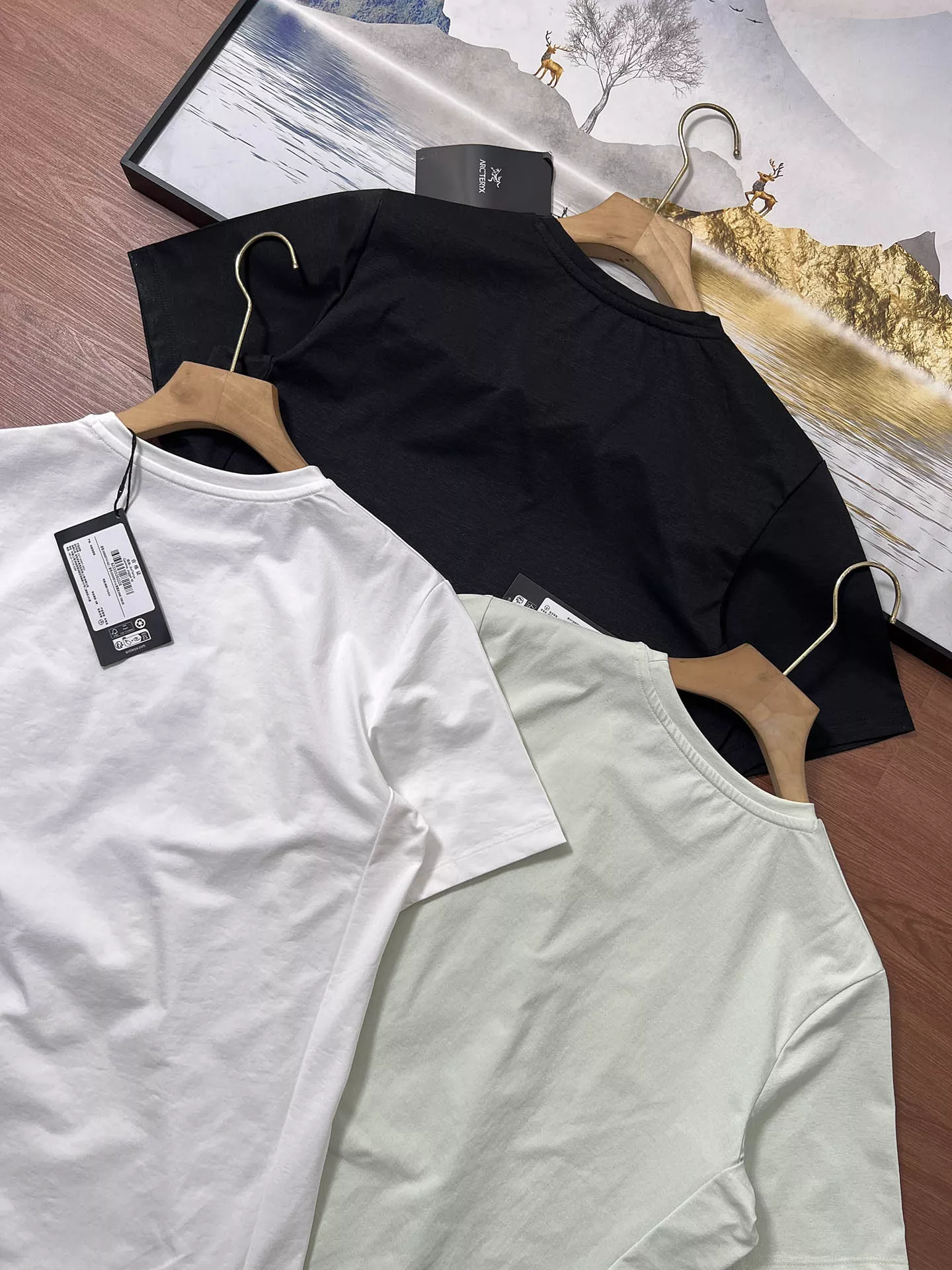 body_6e0117a3dea62755.webp