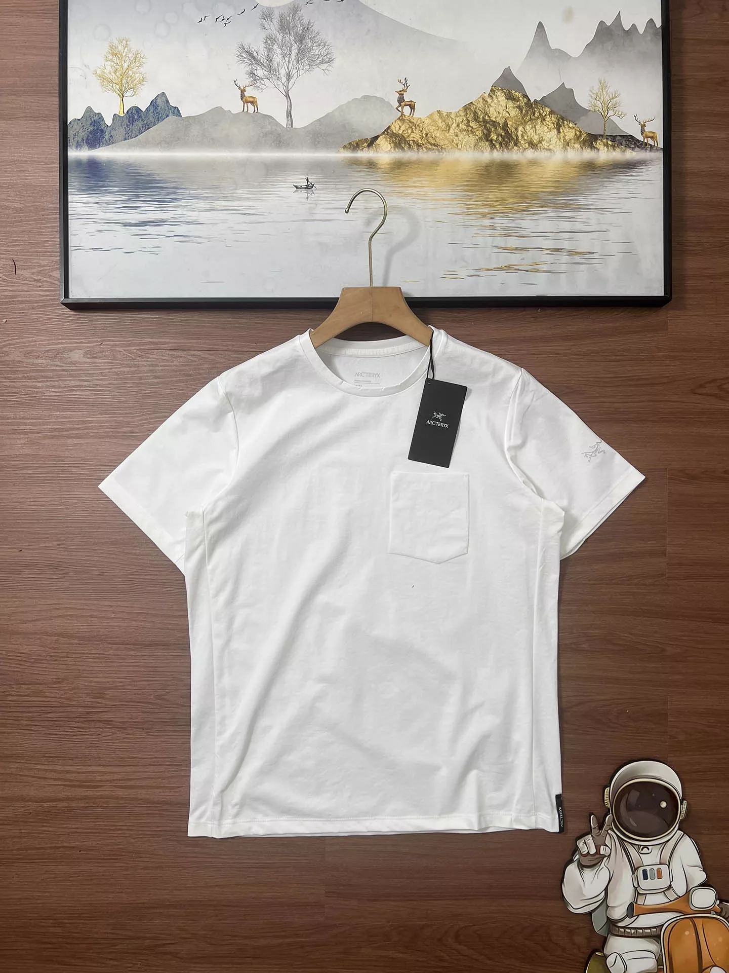 body_f386e49711576823.webp