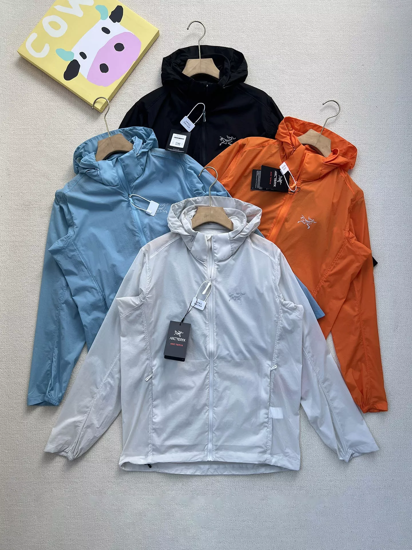 body_a211b2f853e93ff7.webp