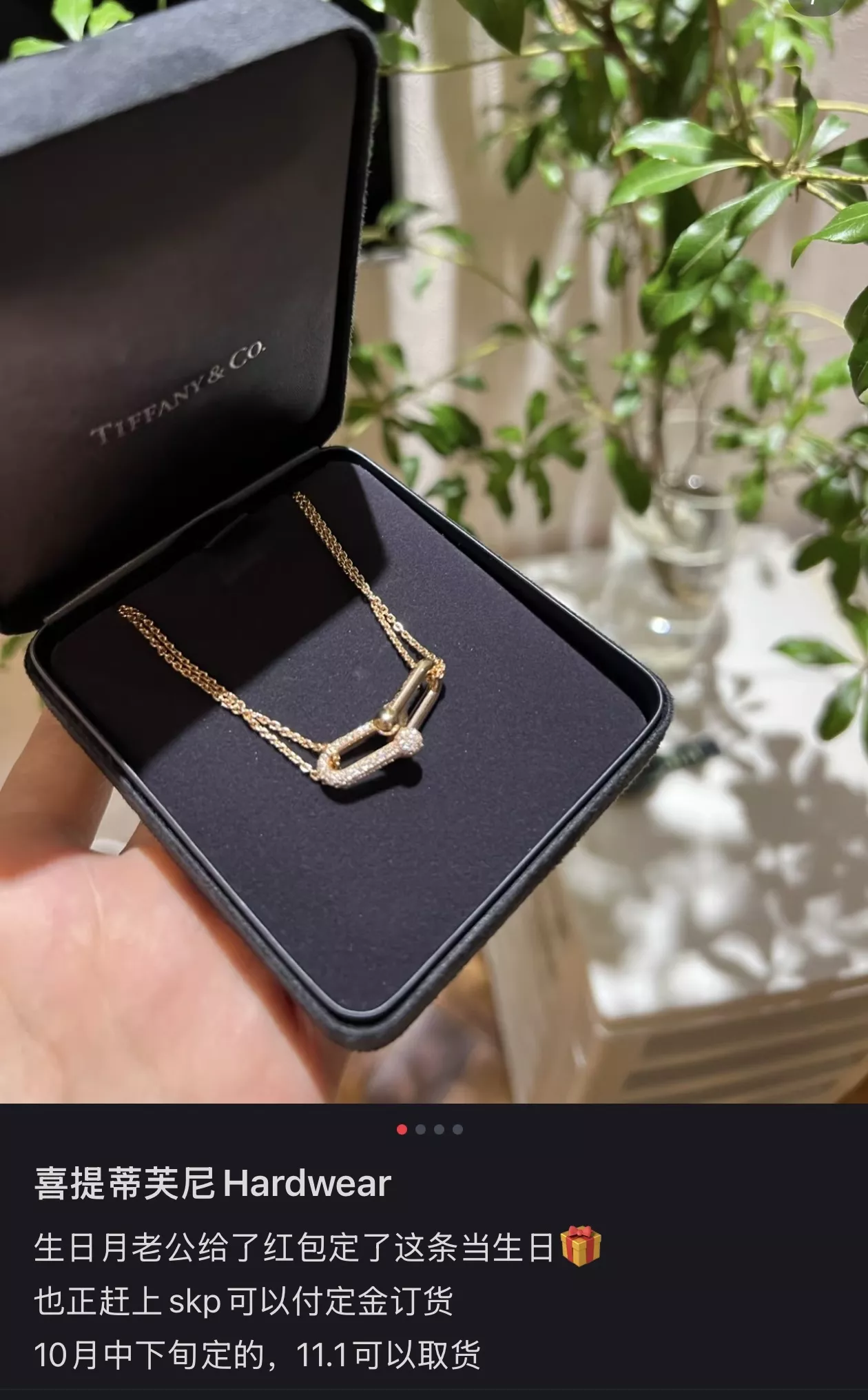 티파니앤코 하드웨어 더블 링 더블 체인 목걸이 상세 이미지 24