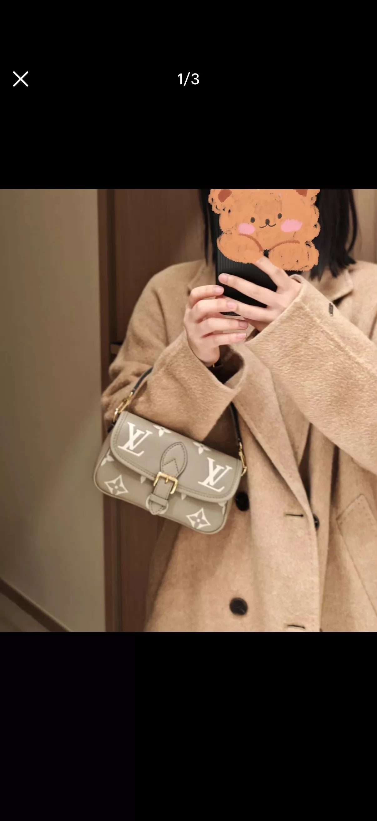 루이비통 나노 다이앤 미니 압화 바게트백 상세 이미지 19