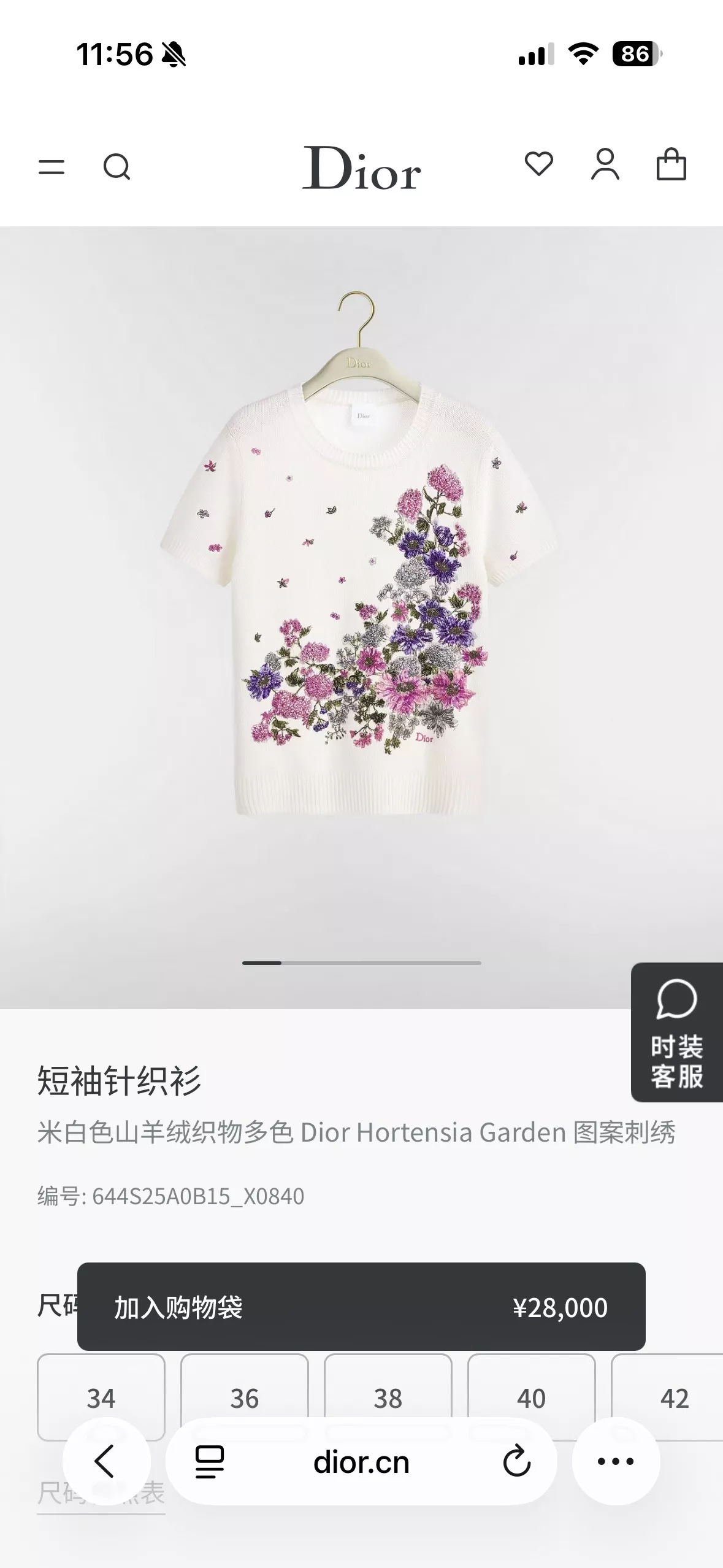 body_6d6d203b1922f295.webp