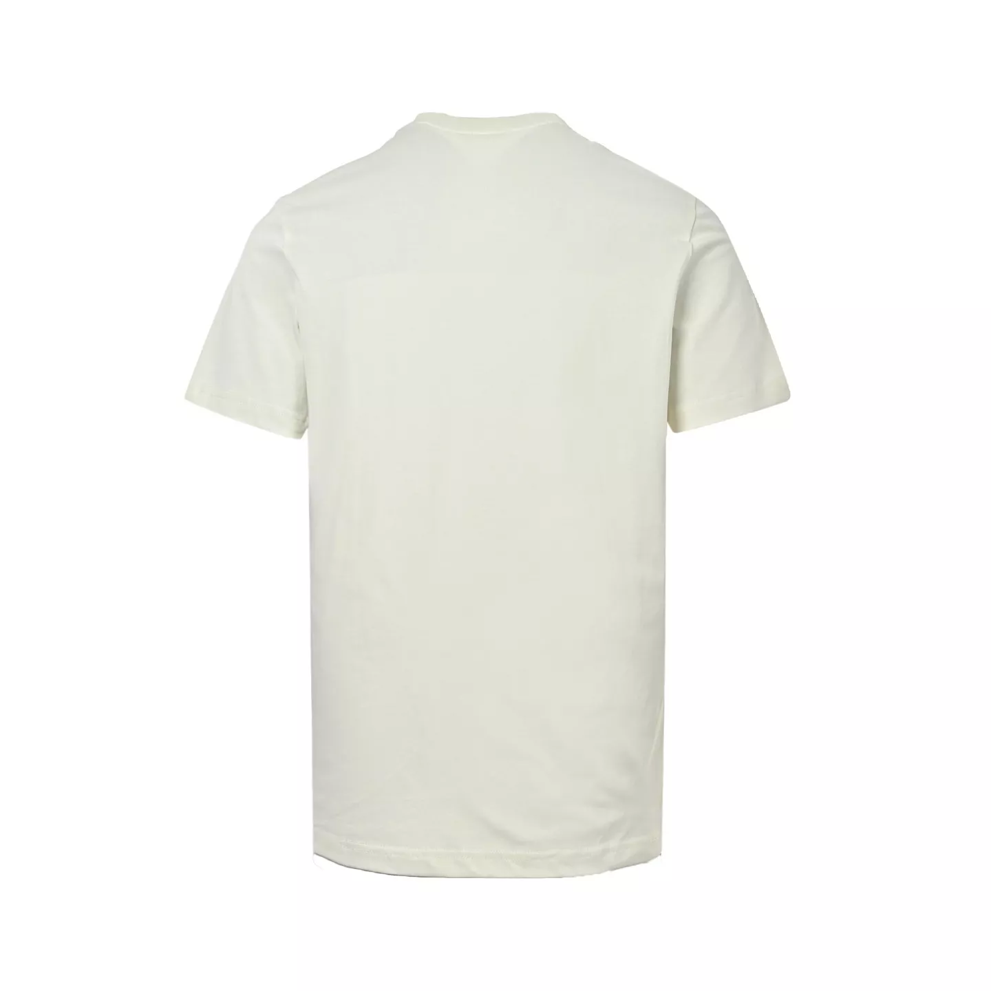 body_80751fa810f2a609.webp