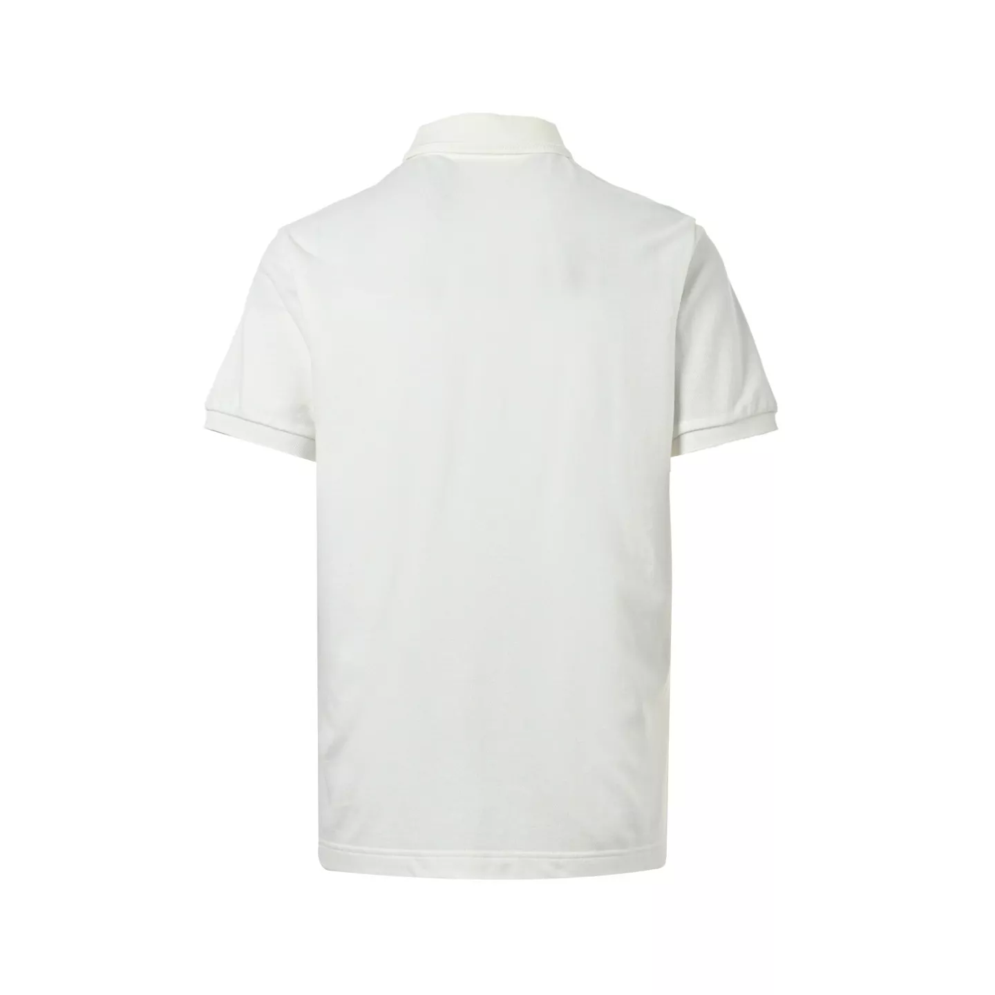 body_cd34deca6a875dff.webp