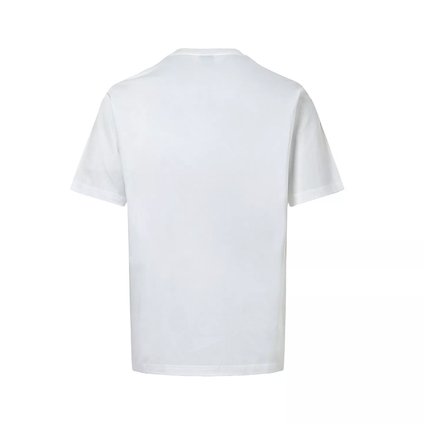 body_b0229c3087e4474f.webp