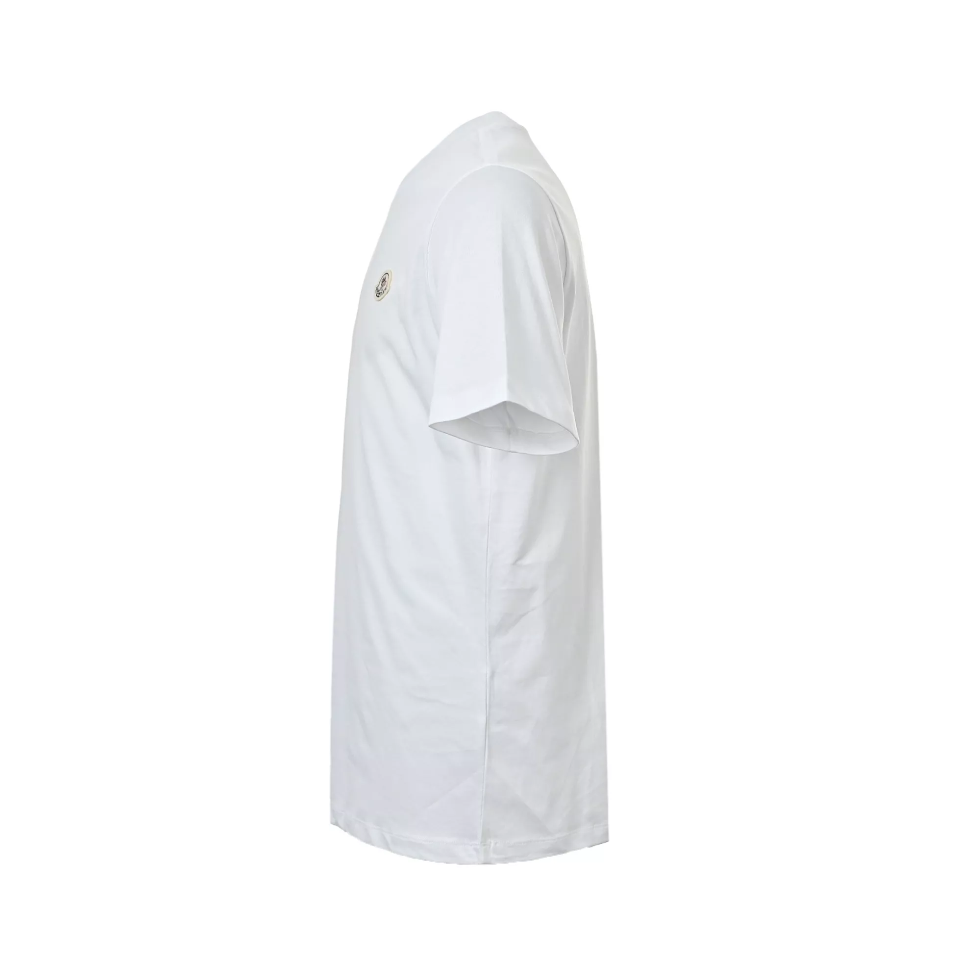body_e53d3589c07eb6ce.webp