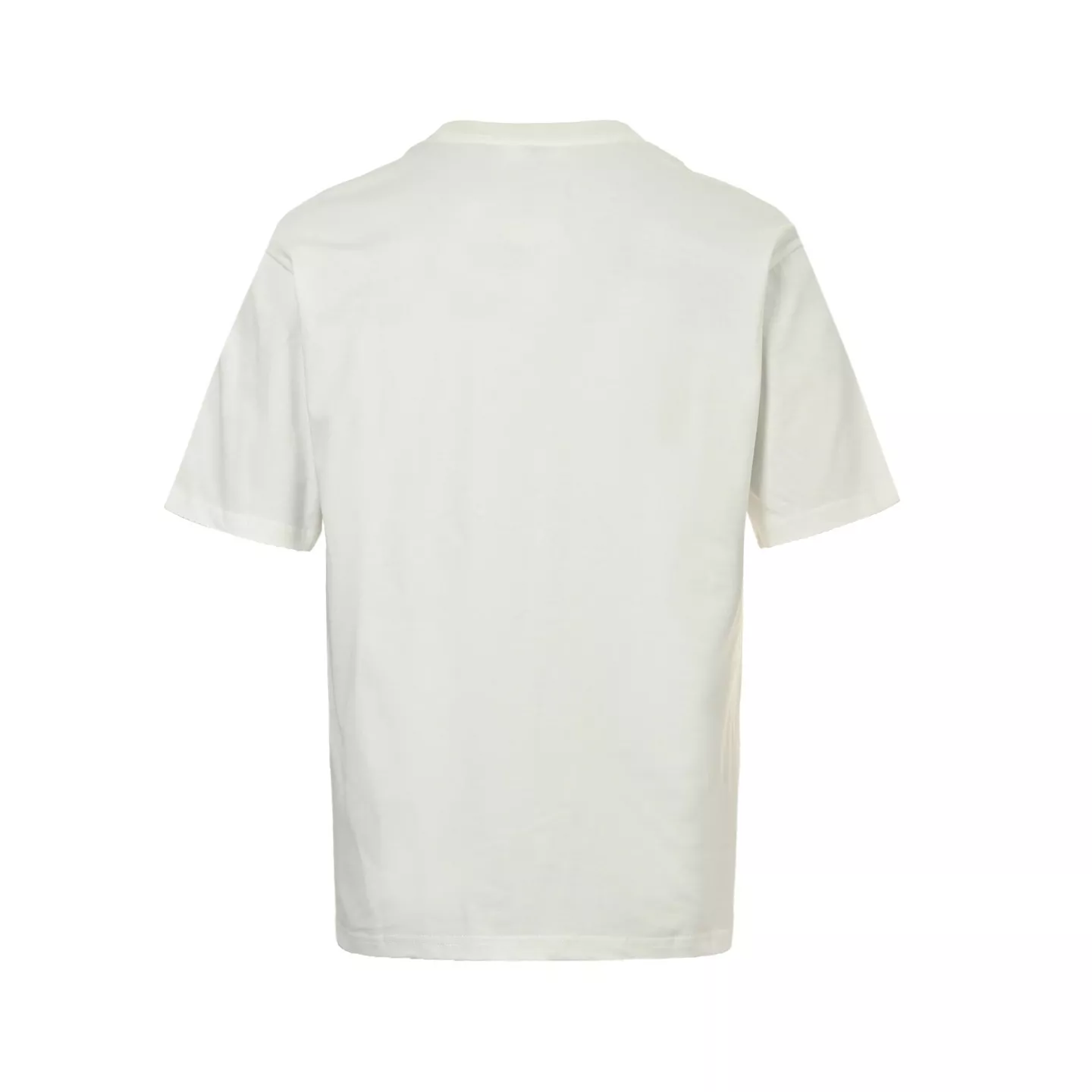 body_db3260210ed918f7.webp