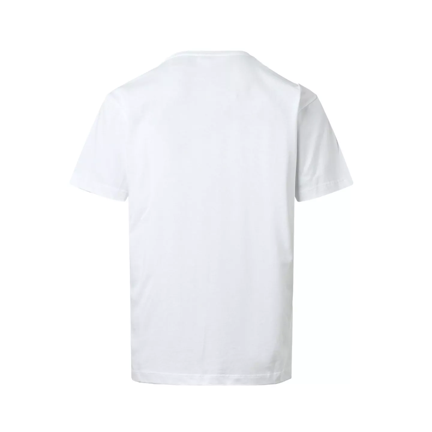 body_e62b0c793e1fe751.webp