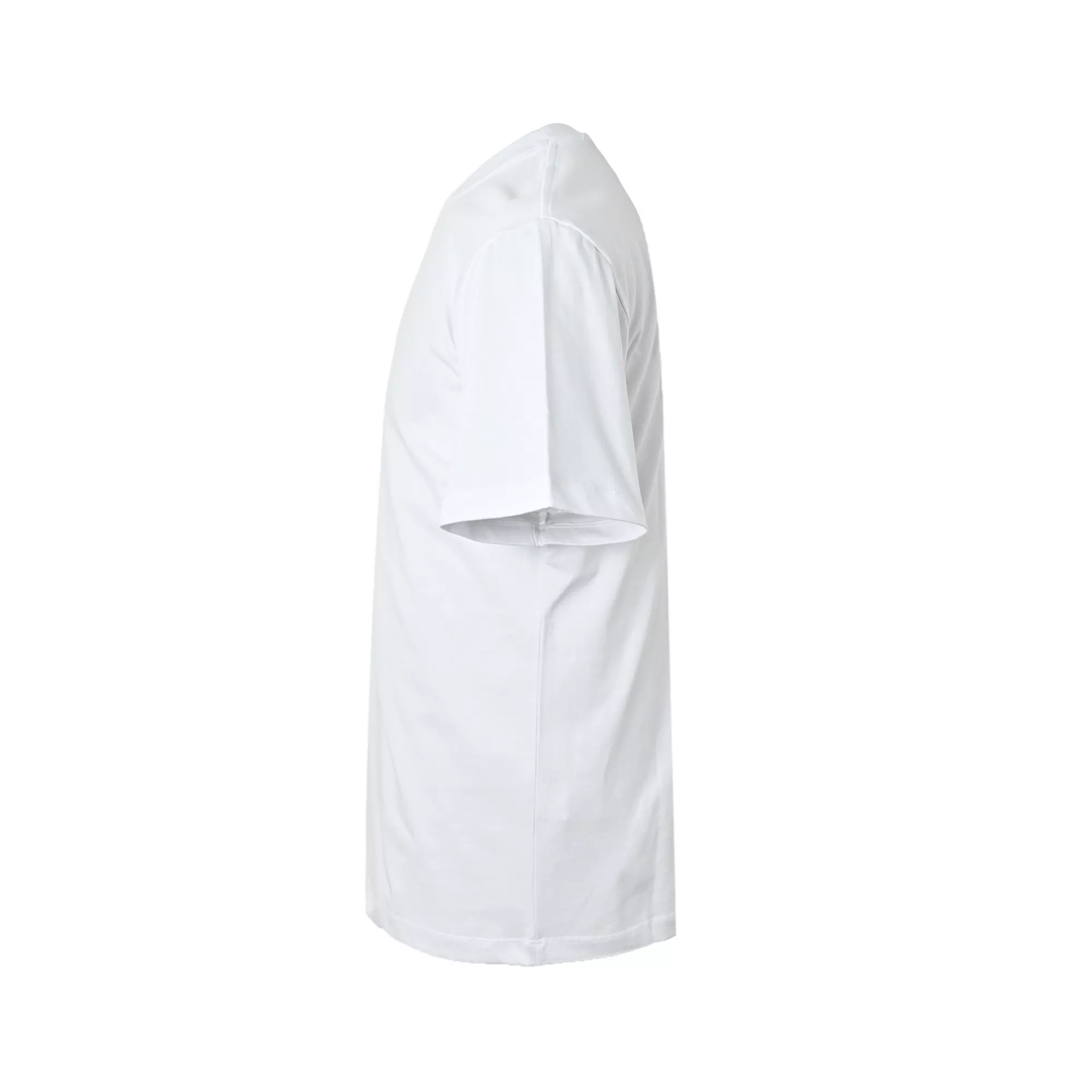 body_e6beedae9200b75b.webp