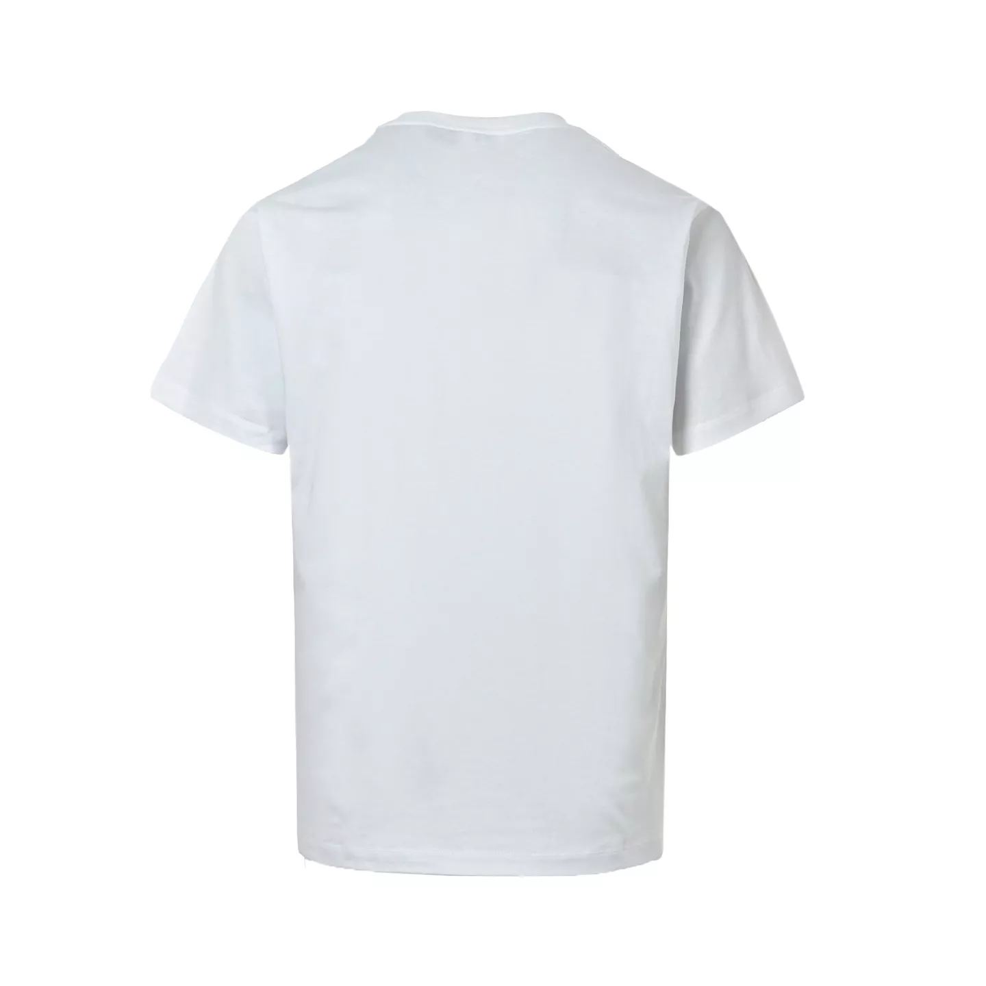 body_edf539c23e98163d.webp