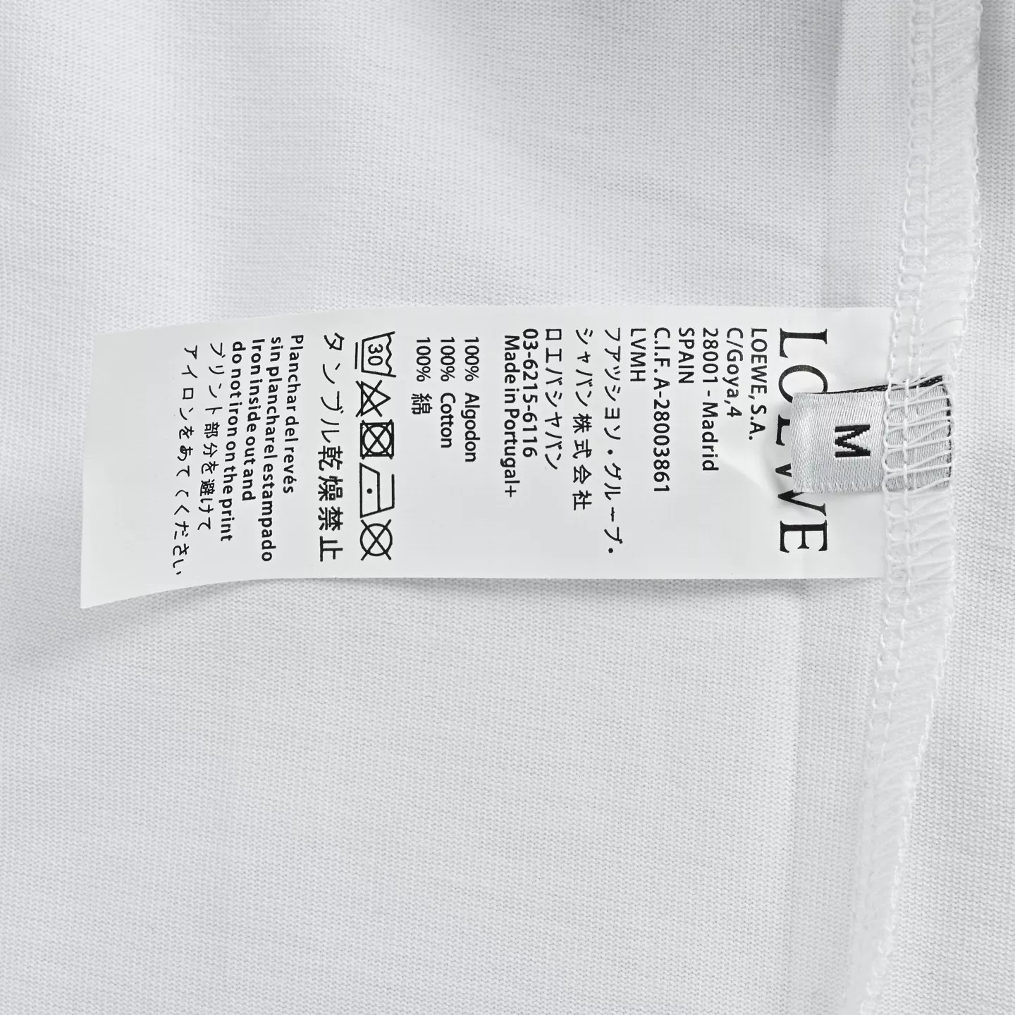 body_6eef84e5a900c5f9.webp