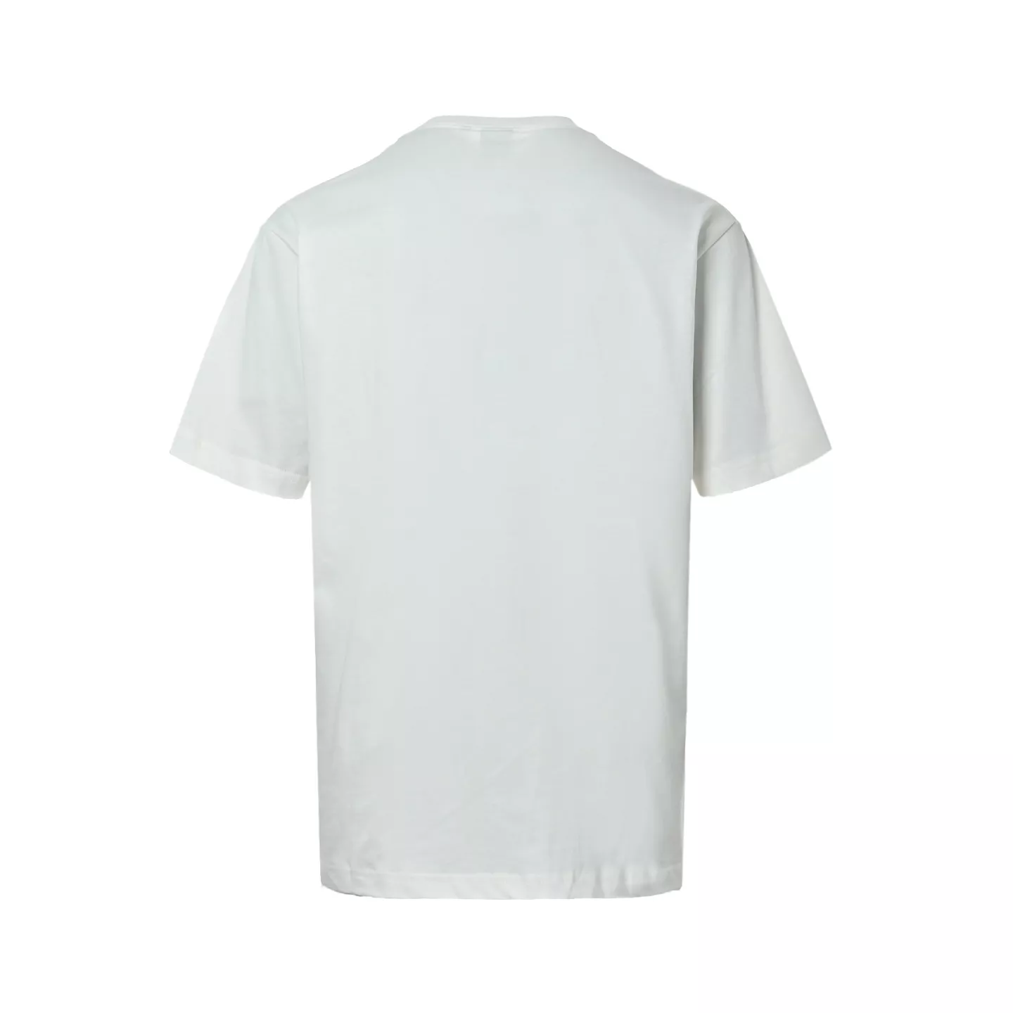 body_e98d55b71594f861.webp