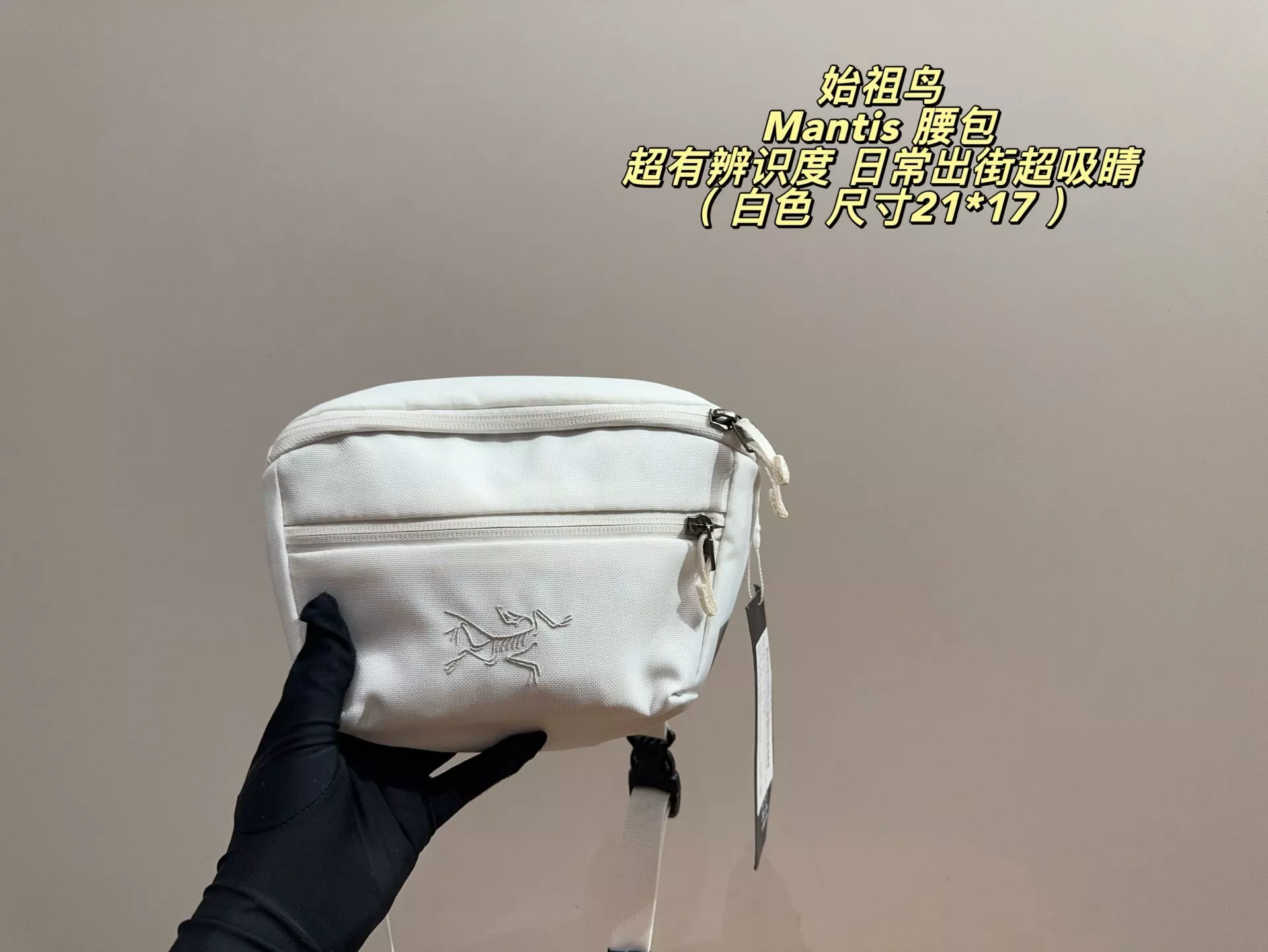 아크테릭스 맨티스 1.5L 투웨이 스포츠 웨이스트백 상세 이미지 5