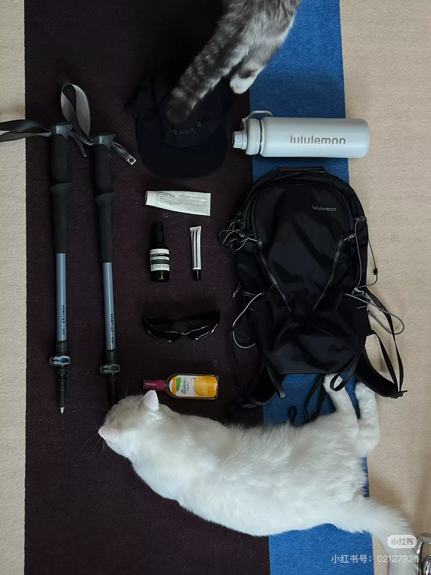 룰루레몬 올 스포츠 10L 경량 나일론 아웃도어 백팩 상세 이미지 28