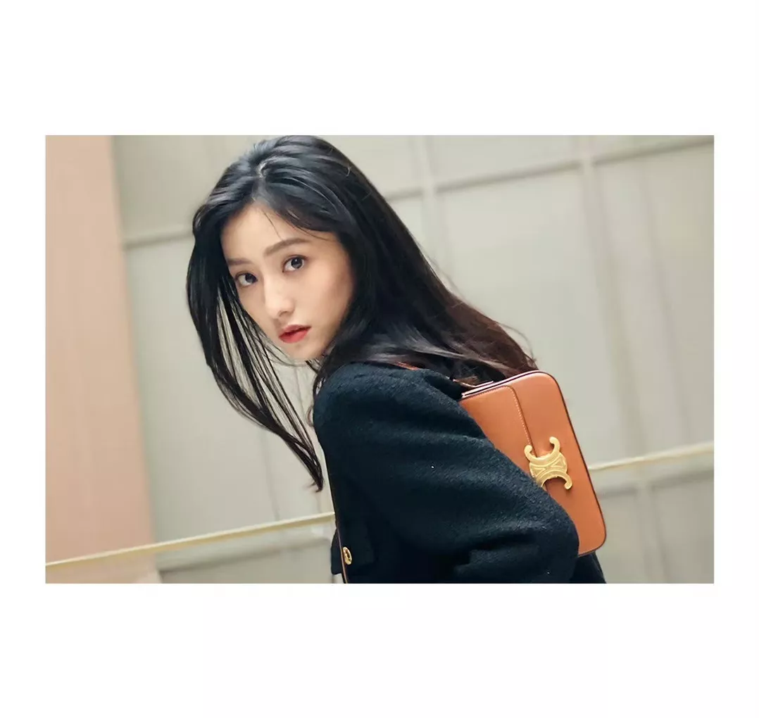 셀린느 클로드 시리즈 소가죽 아크잠 바게트백 상세 이미지 56