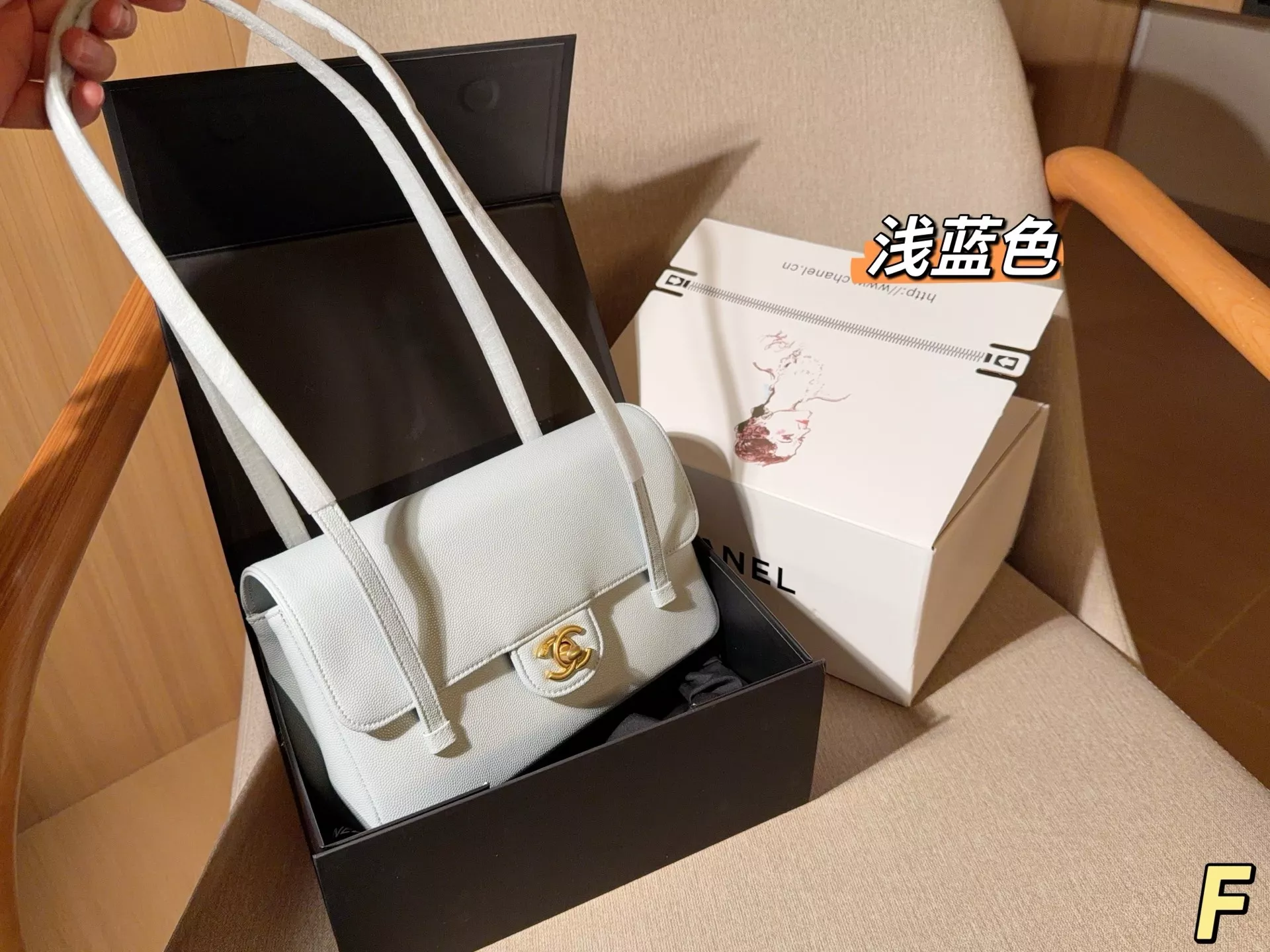 샤넬 제니 플랩 프레피 코코 언더암백 숄더백 상세 이미지 17