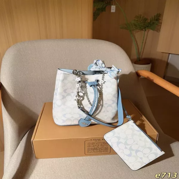 코치 로완 버킷 드로스트링 버킷백