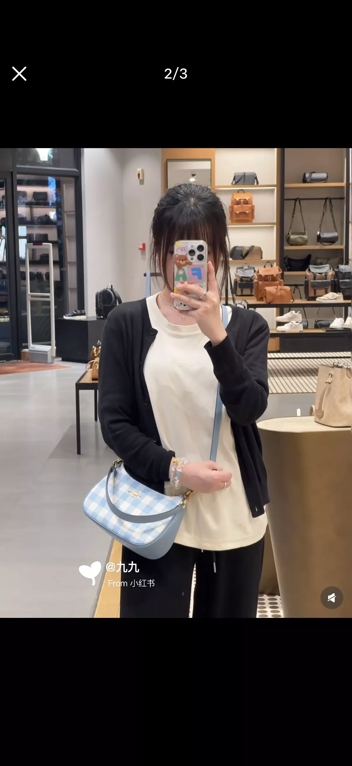 코치 체크 패턴 테리 호보백 상세 이미지 22