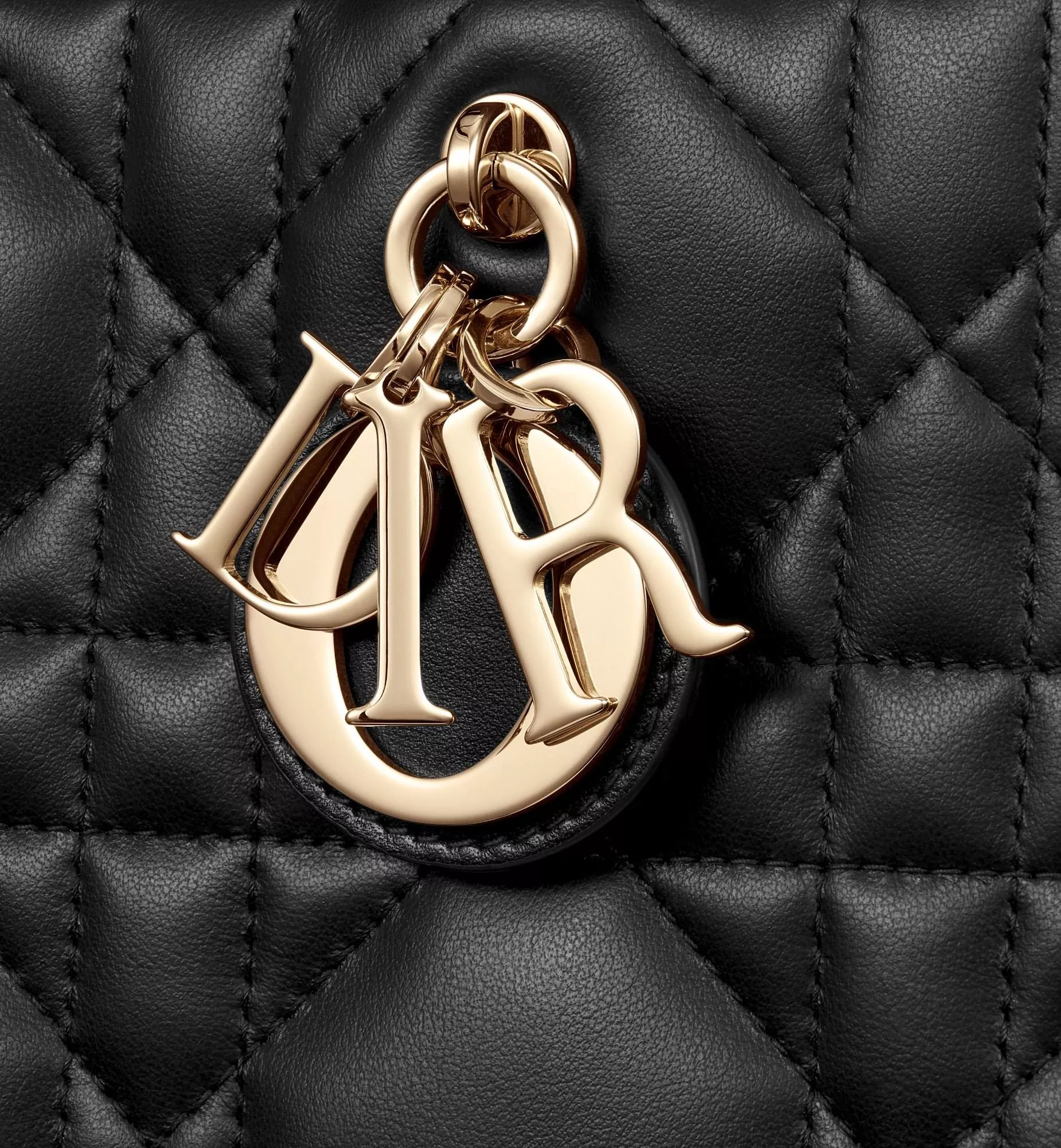 디올 까나쥬 그레이 카프스킨 스몰 토트백 상세 이미지 15