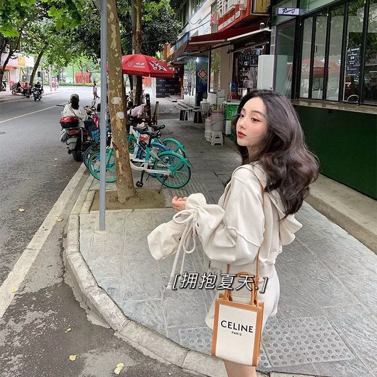 셀린느 캔버스 레더 트리밍 미니 카바스 토트백 상세 이미지 28