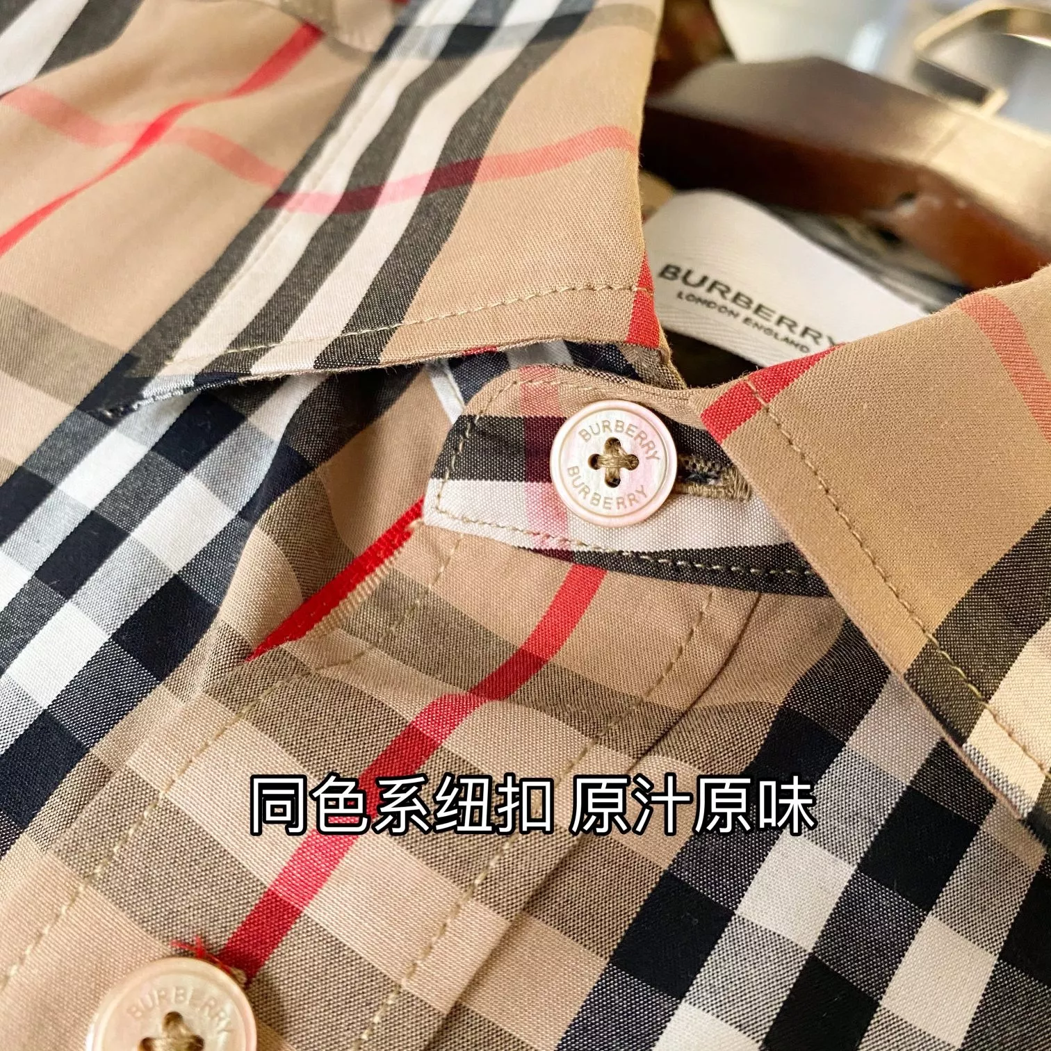body_72363c258277222b.webp