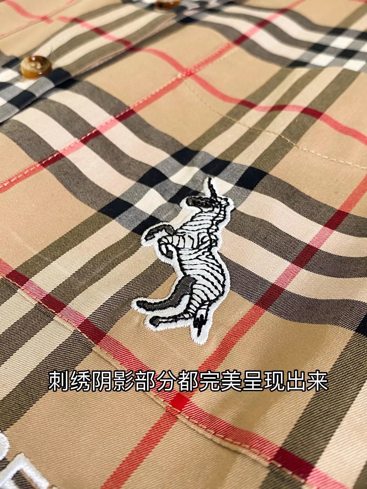 body_6b70d5b1c7eeac98.webp