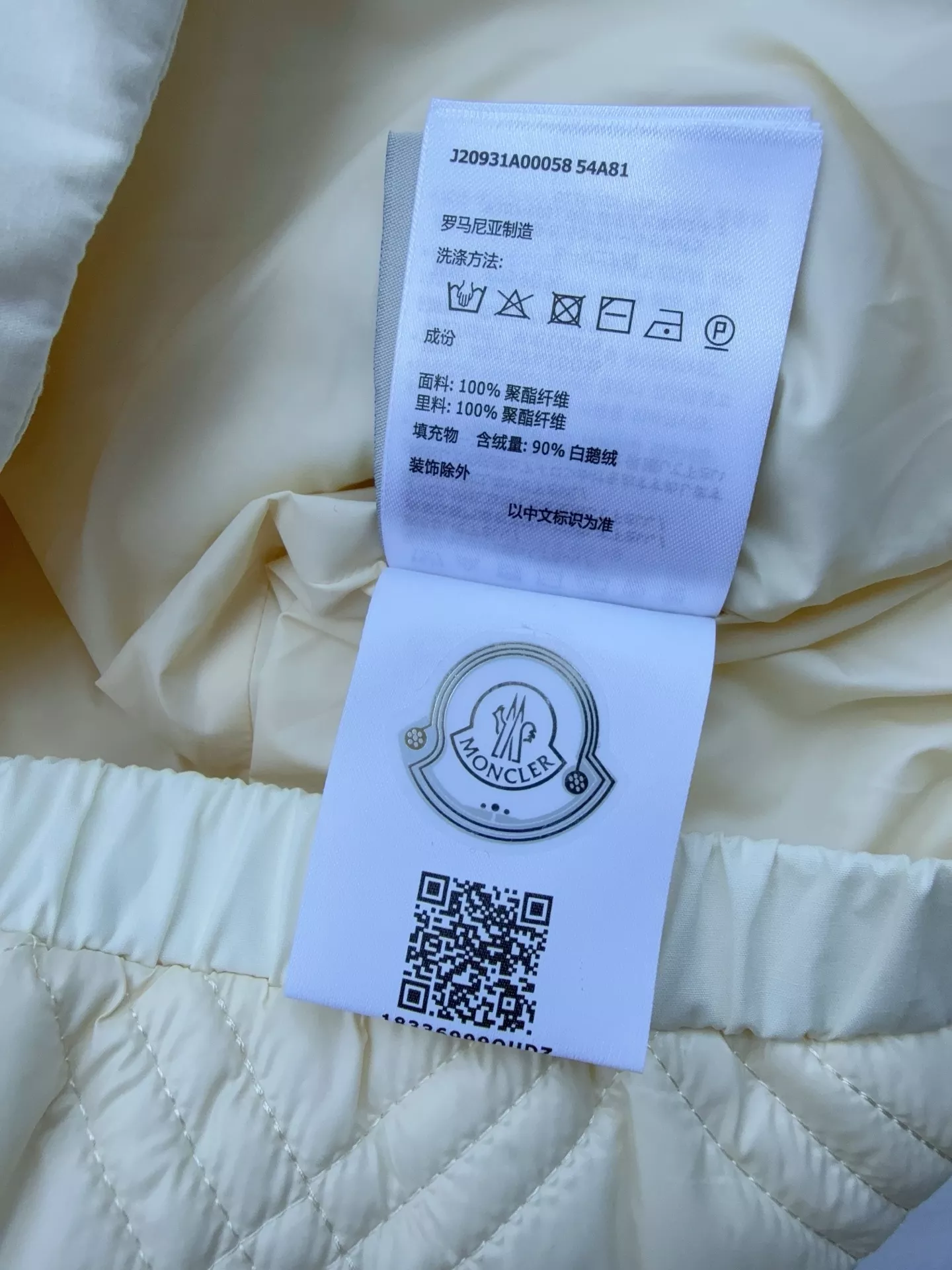 body_b65758e2bcba450c.webp