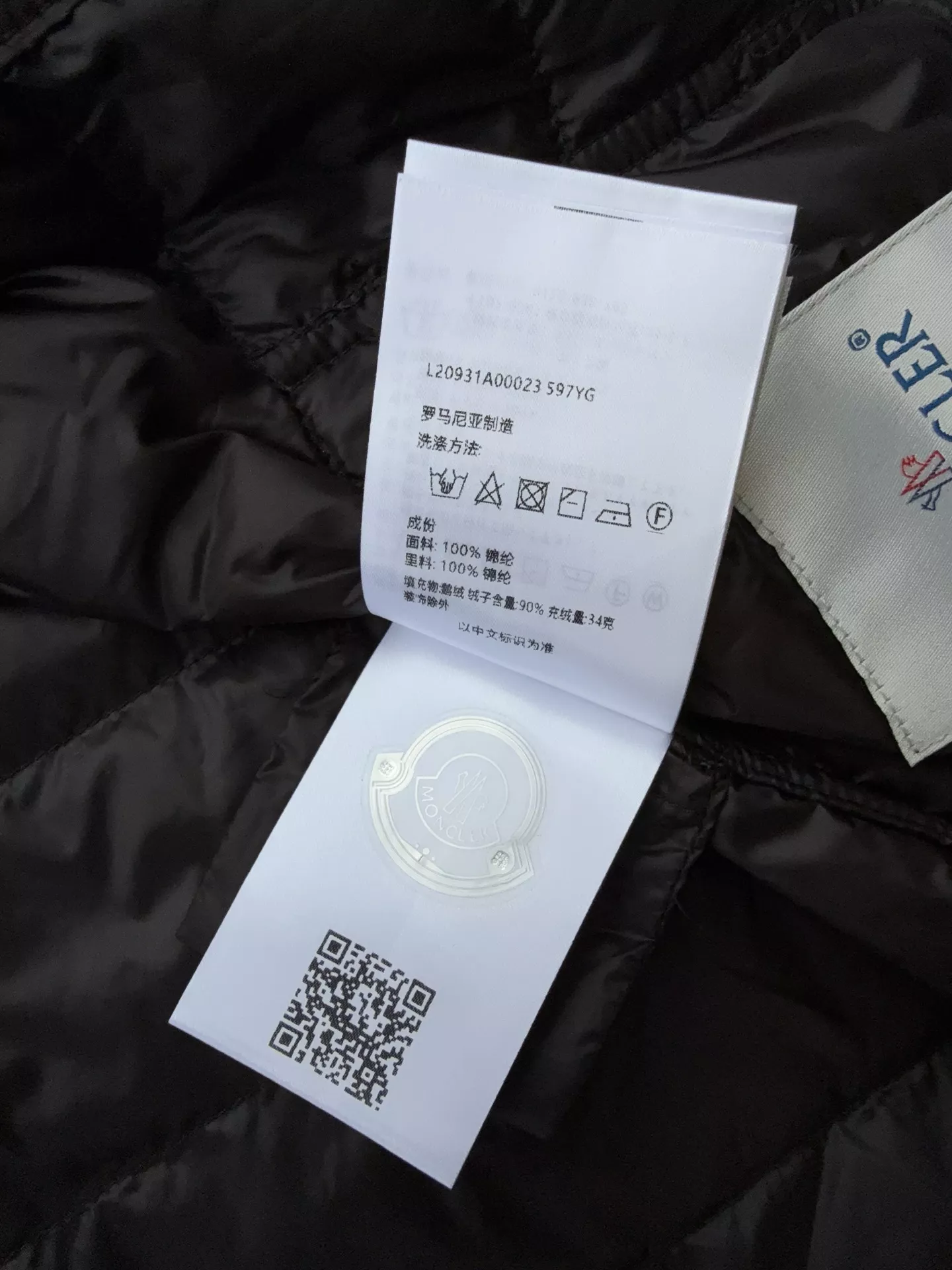 body_fe5e86e2a7e85495.webp