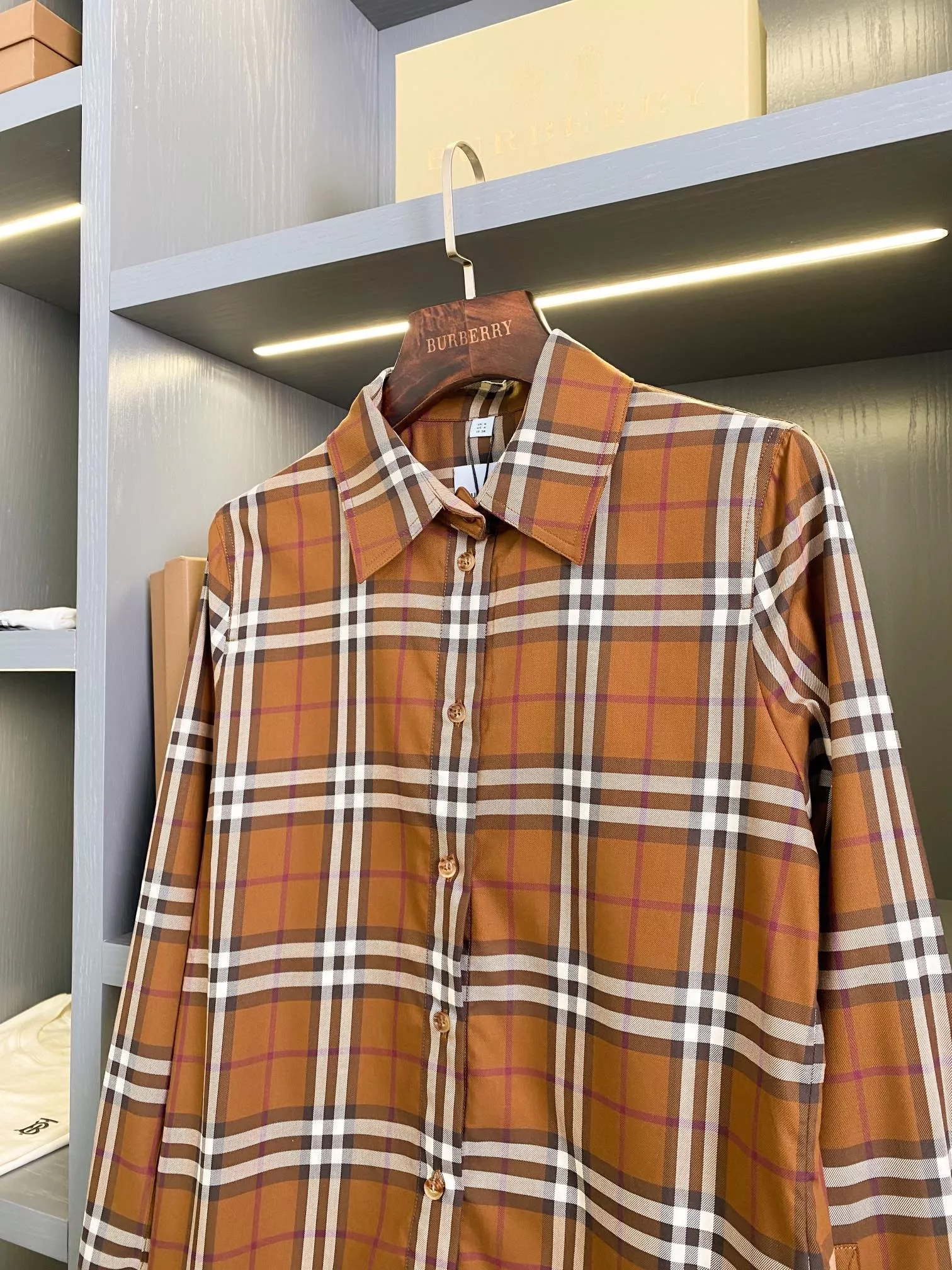 body_fd74a5319cf020ef.webp