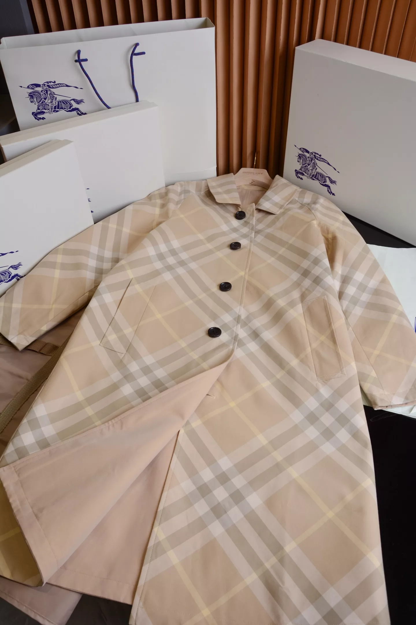 body_c67a42f12907317c.webp