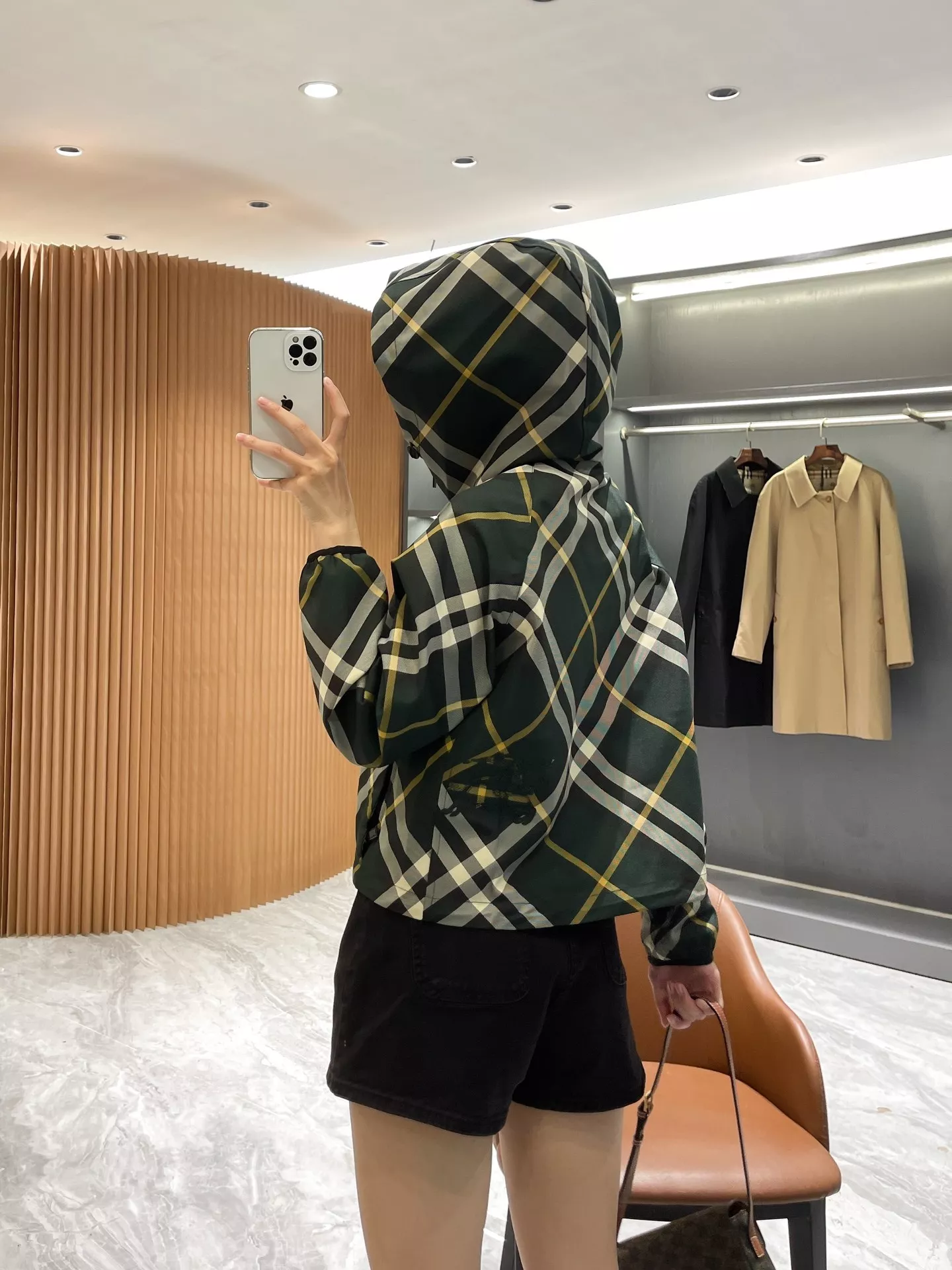 body_256ae17d52822aaa.webp