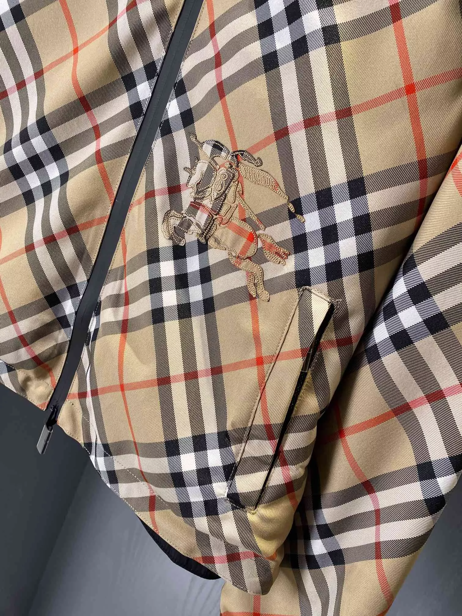 body_14398273e500d004.webp