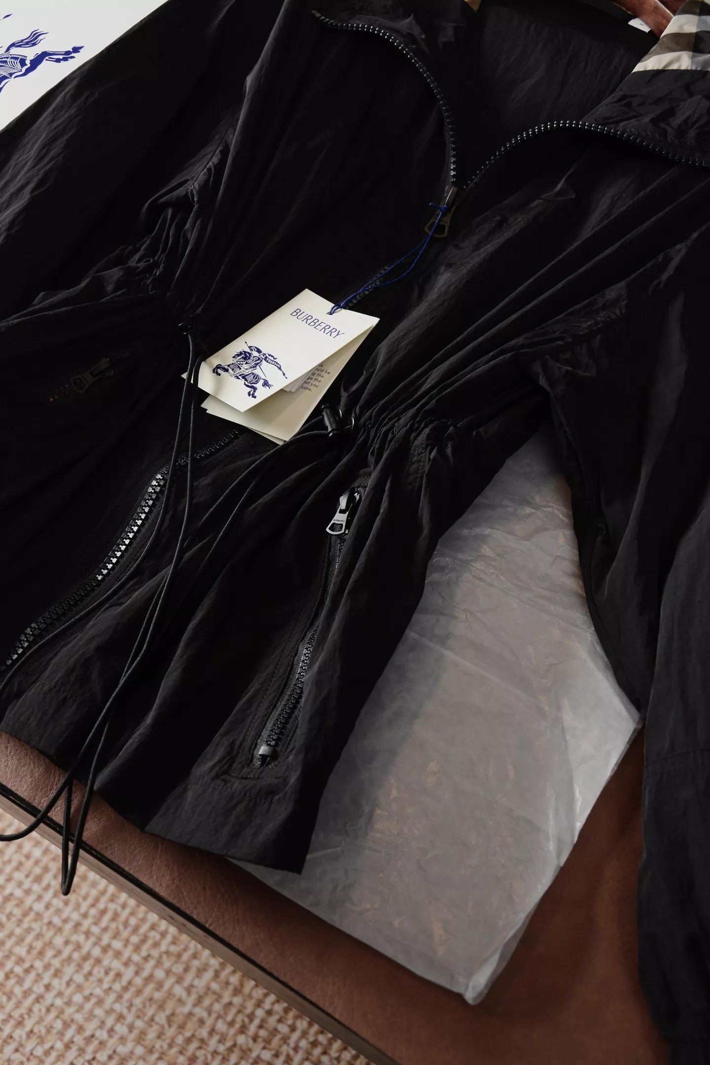 body_0e269c31ba14a448.webp