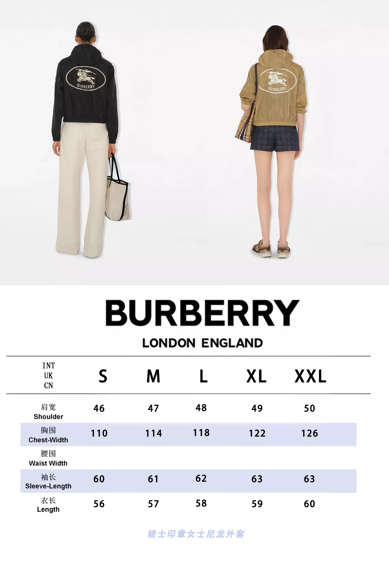 body_8465e460f6bfb1ce.webp