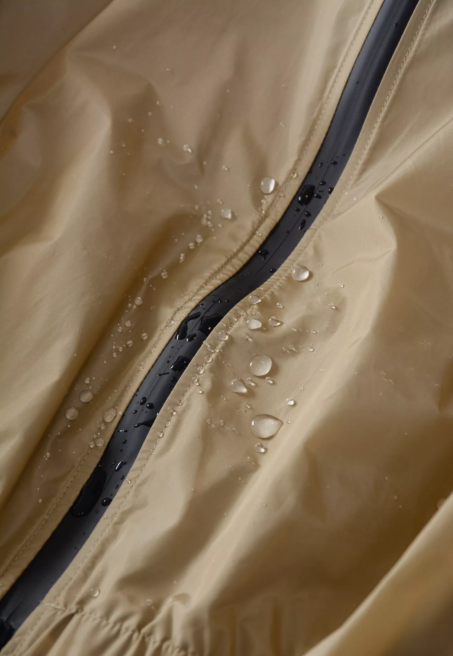 body_d685cee66cc05edd.webp