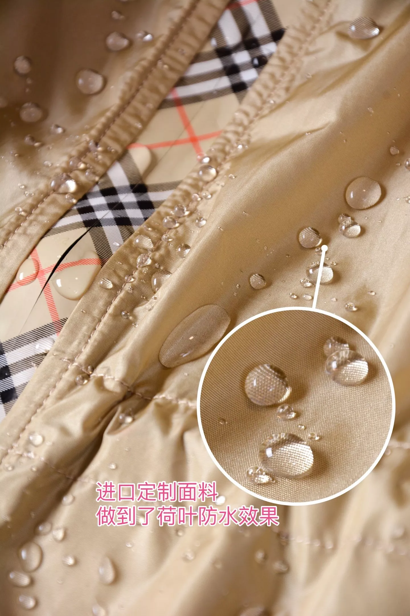 body_79875d13d4765a58.webp