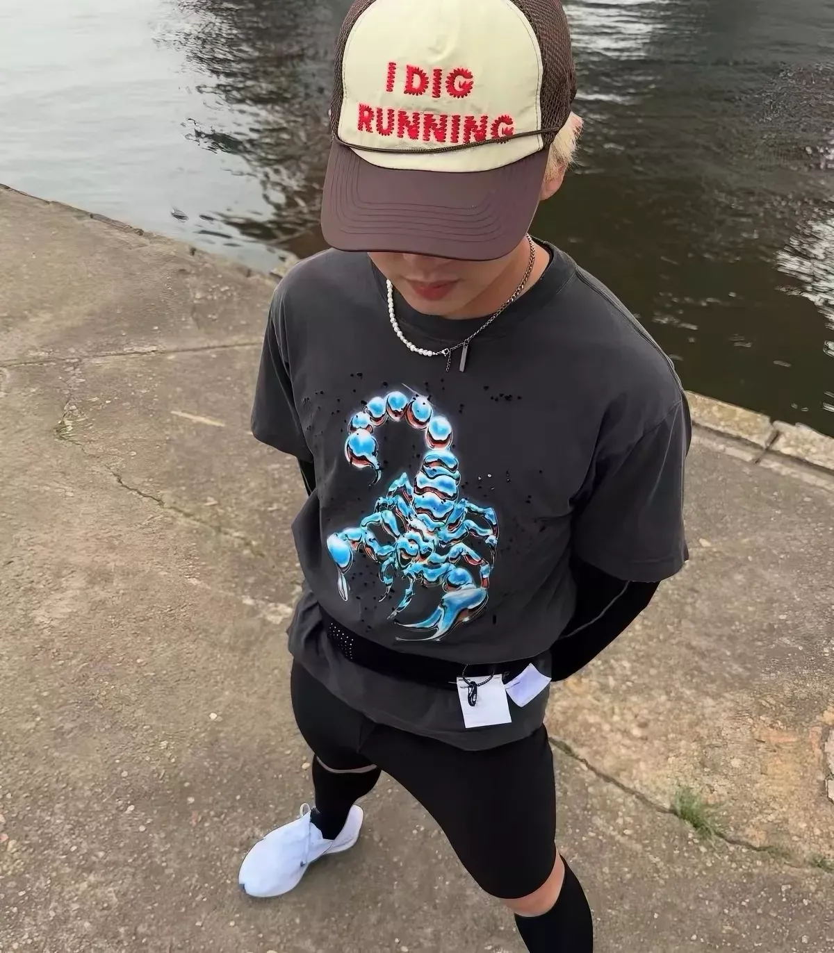 d33.webp