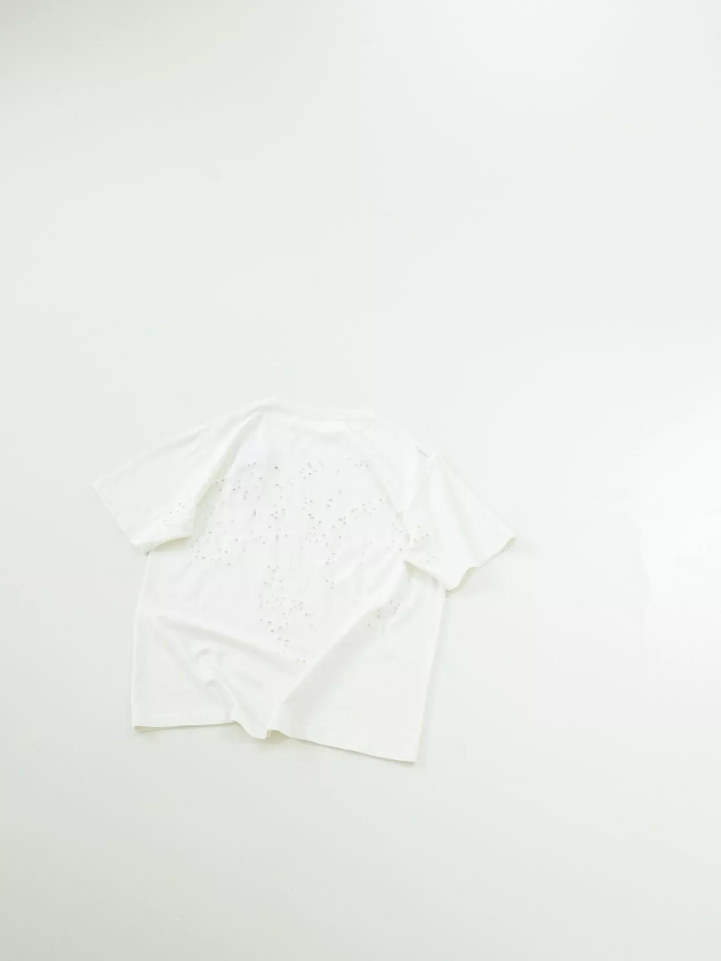 d5.webp