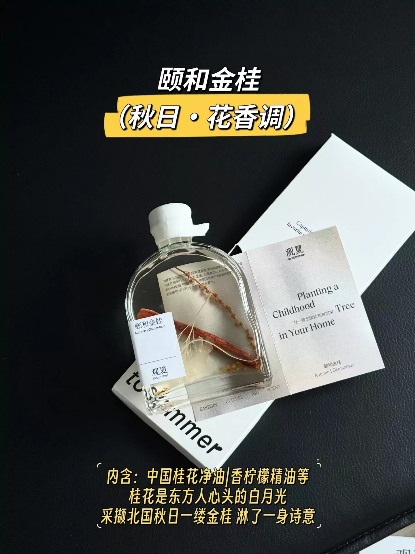 관하 사계절 플로럴 우디 디퓨저 상세 이미지 32