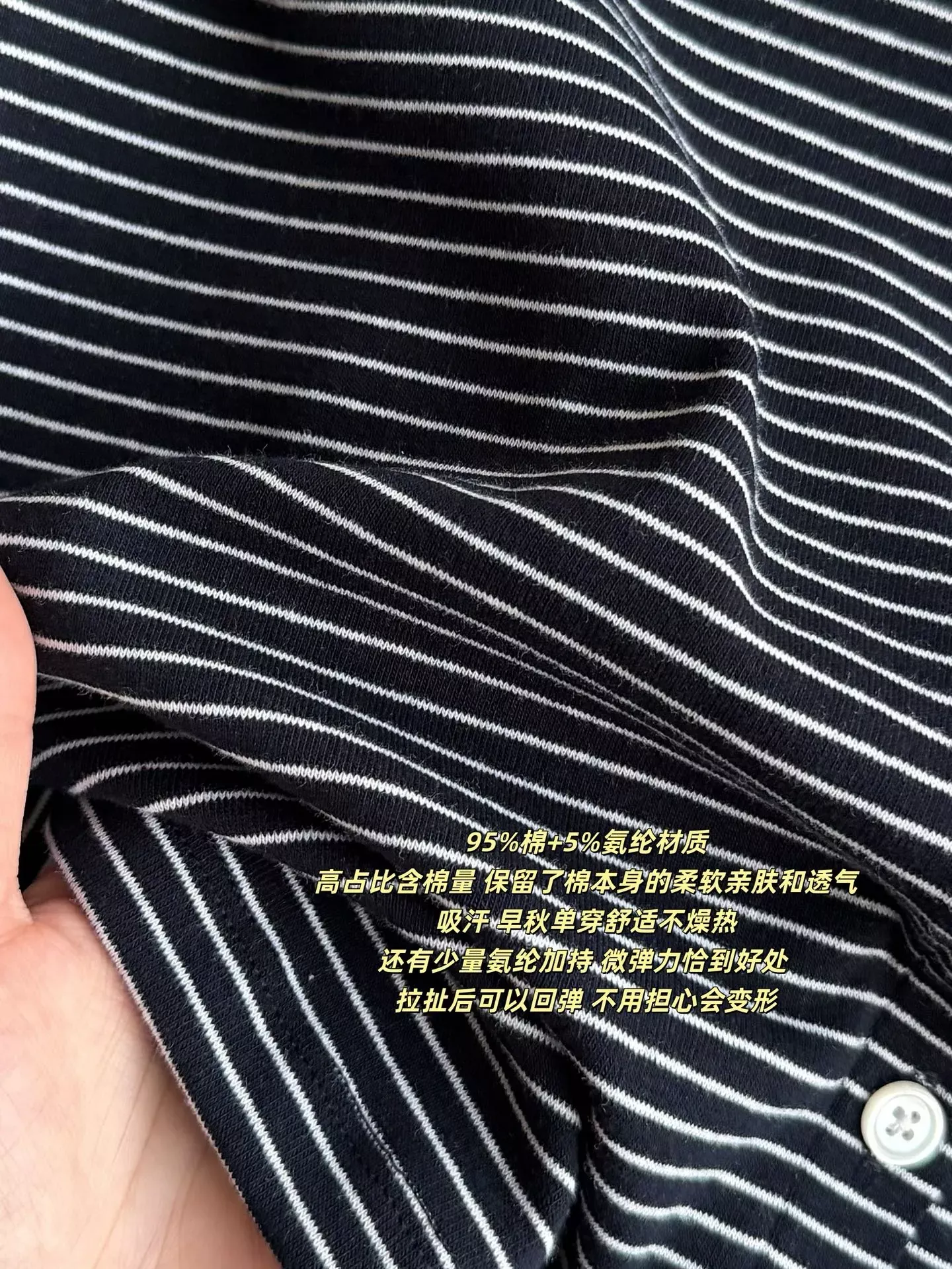 d41.webp