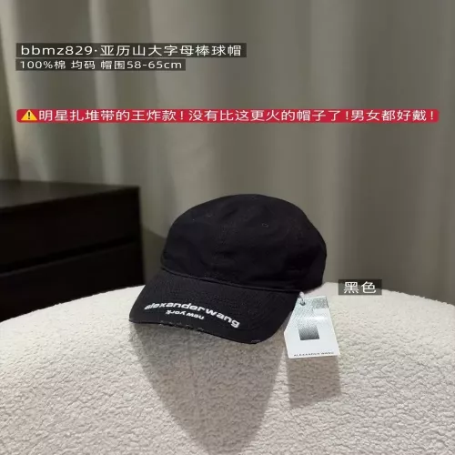 알렉산더왕 빈티지 자수 블랙 볼캡