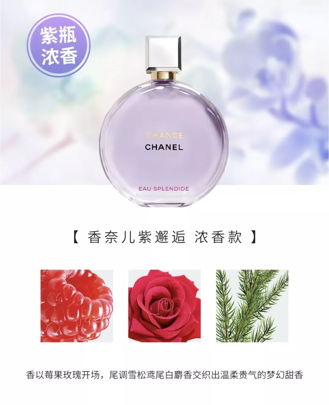 샤넬 라즈베리 로즈 우디 EDP 향수 상세 이미지 28