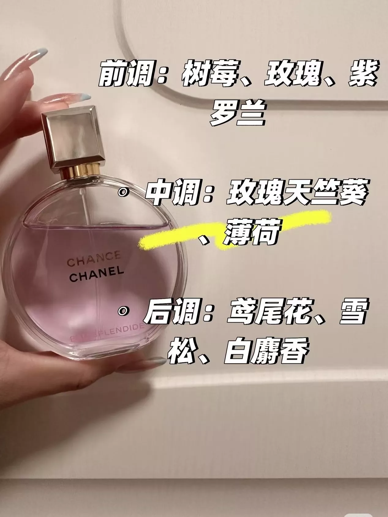 샤넬 라즈베리 로즈 우디 EDP 향수 상세 이미지 42