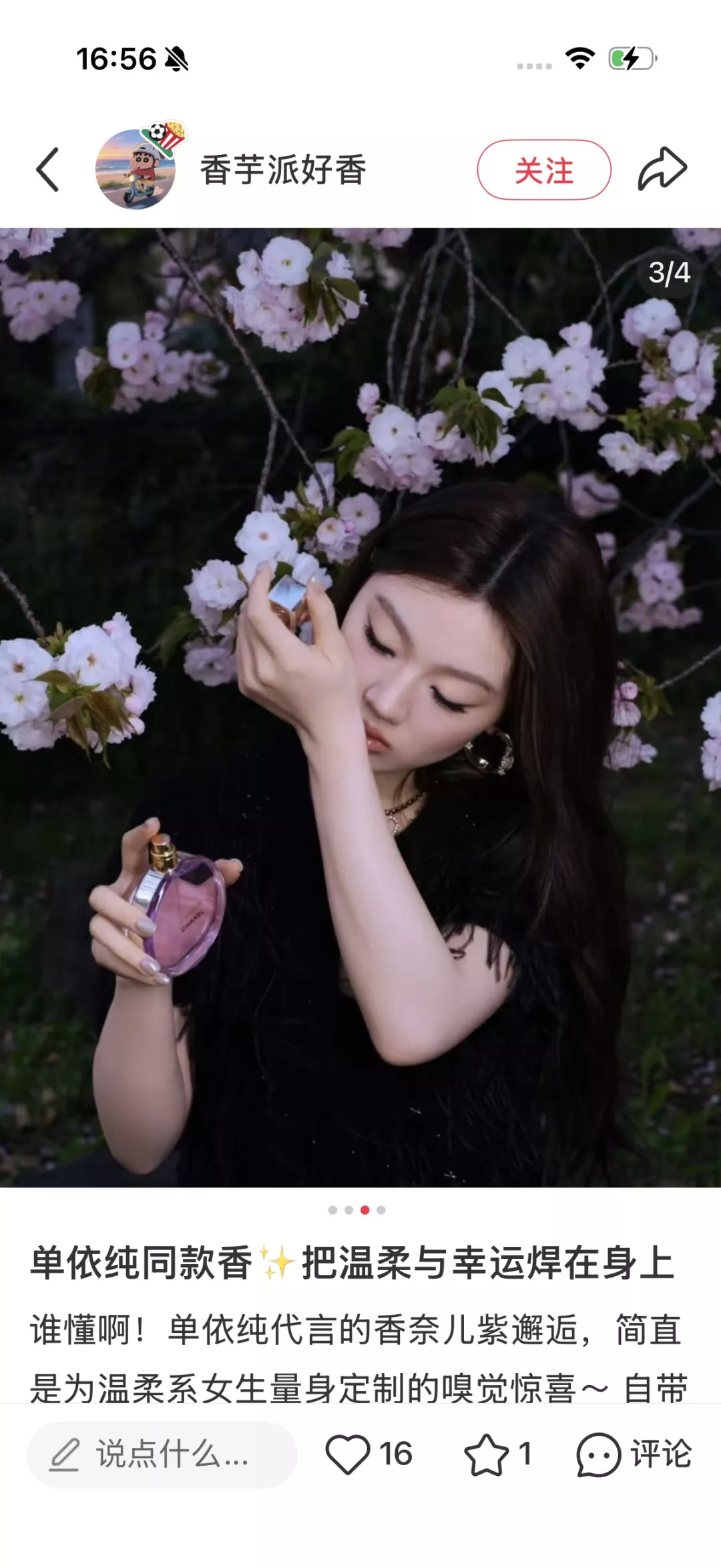 샤넬 라즈베리 로즈 우디 EDP 향수 상세 이미지 57